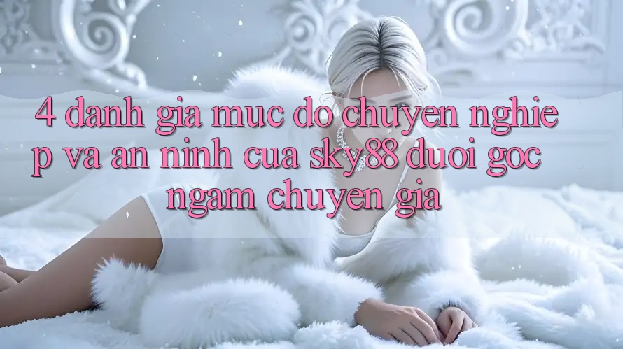 4. Đánh giá mức độ chuyên nghiệp và an ninh của Sky88 dưới góc ngắm chuyên gia