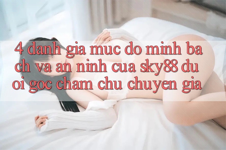 4. Đánh giá mức độ minh bạch và an ninh của Sky88 dưới góc chăm chú chuyên gia 4. Đánh giá mức độ minh bạch và an ninh của Sky88 dưới góc chăm chú chuyên gia