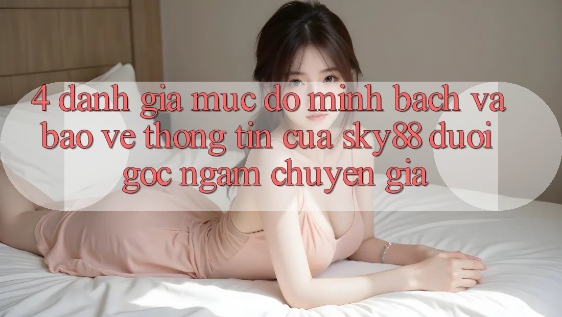 4. Đánh giá mức độ minh bạch và bảo vệ thông tin của Sky88 dưới góc ngắm chuyên gia