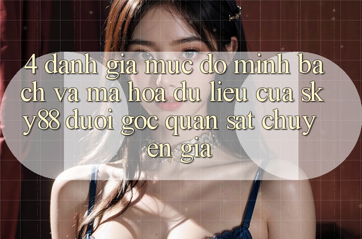 4. Đánh giá mức độ minh bạch và mã hóa dữ liệu của Sky88 dưới góc quan sát chuyên gia