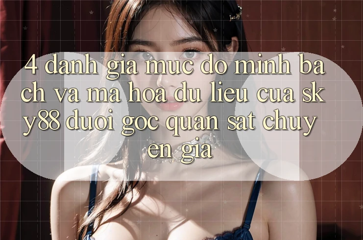 4. Đánh giá mức độ minh bạch và mã hóa dữ liệu của Sky88 dưới góc quan sát chuyên gia