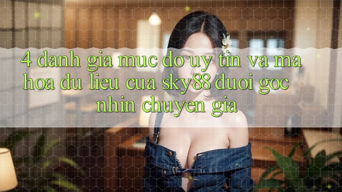 4. Đánh giá mức độ uy tín và mã hóa dữ liệu của Sky88 dưới góc nhìn chuyên gia