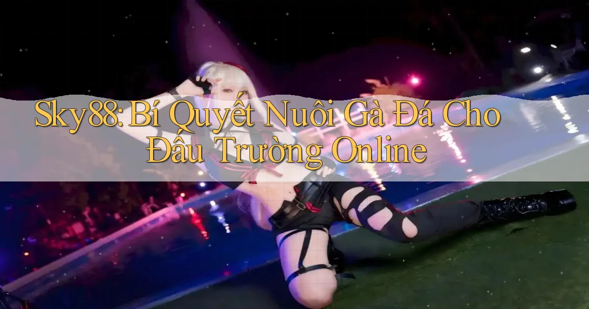 sky88  bí quyết nuôi gà đá cho đấu trường online