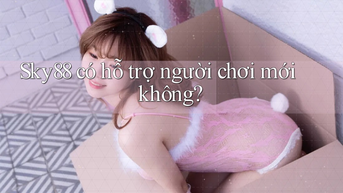 Sky88 có hỗ trợ người chơi mới không?