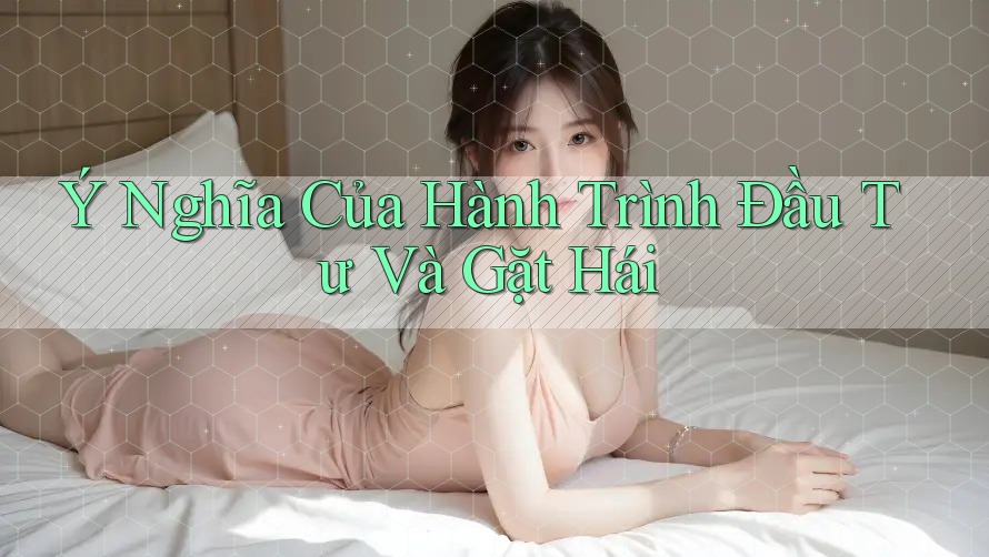 Ý Nghĩa Của Hành Trình Đầu Tư Và Gặt Hái Ý Nghĩa Của Hành Trình Đầu Tư Và Gặt Hái